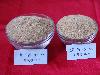 供应石英砂滤料0.8-1.2mm